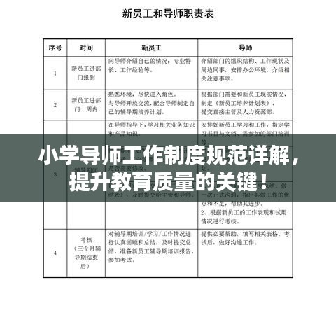 小學(xué)導(dǎo)師工作制度規(guī)范詳解，提升教育質(zhì)量的關(guān)鍵！