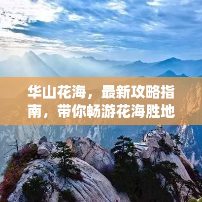 華山花海，最新攻略指南，帶你暢游花海勝地！