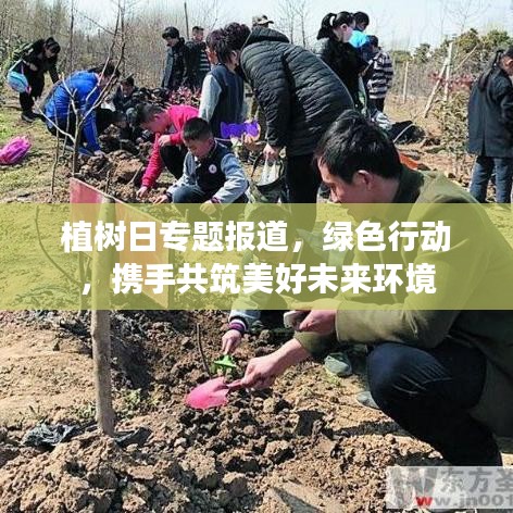 植樹日專題報道，綠色行動，攜手共筑美好未來環(huán)境