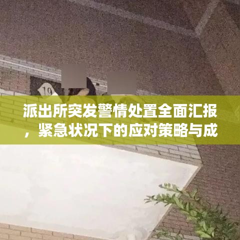 派出所突發(fā)警情處置全面匯報(bào)，緊急狀況下的應(yīng)對策略與成效分析