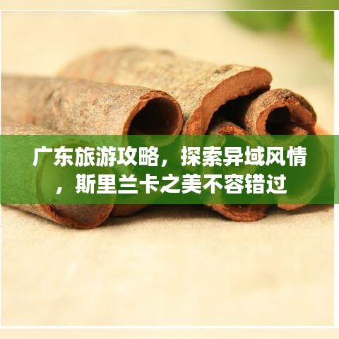 廣東旅游攻略，探索異域風(fēng)情，斯里蘭卡之美不容錯(cuò)過
