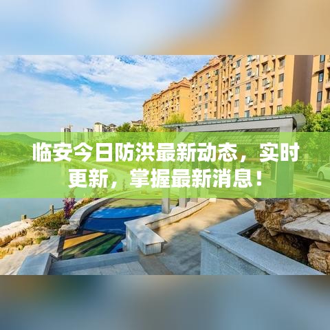 臨安今日防洪最新動態(tài)，實時更新，掌握最新消息！