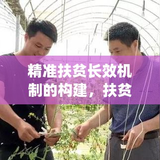 精準(zhǔn)扶貧長(zhǎng)效機(jī)制的構(gòu)建，扶貧項(xiàng)目庫(kù)建設(shè)的實(shí)踐與探索