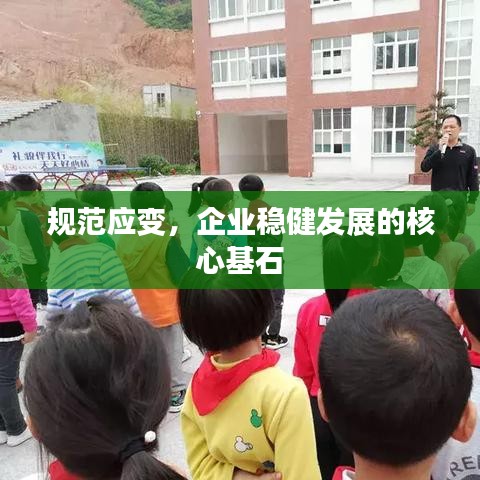 規(guī)范應(yīng)變，企業(yè)穩(wěn)健發(fā)展的核心基石