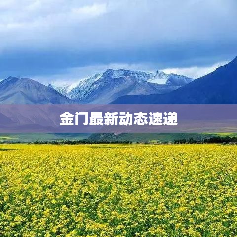 金門(mén)最新動(dòng)態(tài)速遞