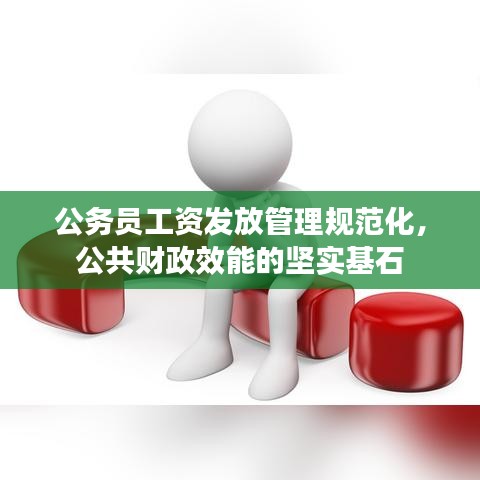 公務(wù)員工資發(fā)放管理規(guī)范化，公共財政效能的堅(jiān)實(shí)基石