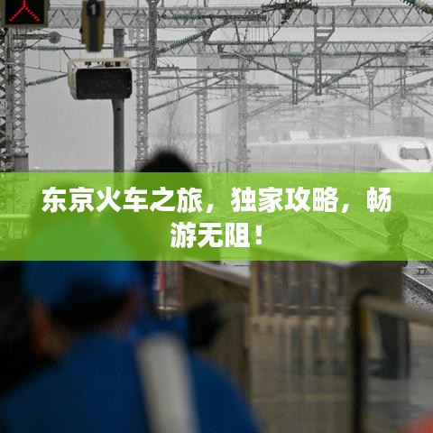 東京火車之旅，獨家攻略，暢游無阻！