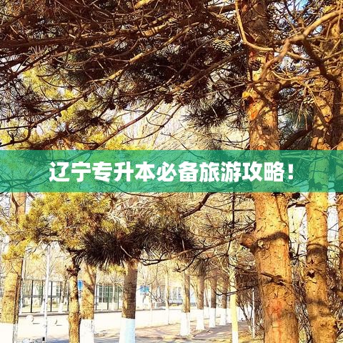 遼寧專升本必備旅游攻略！