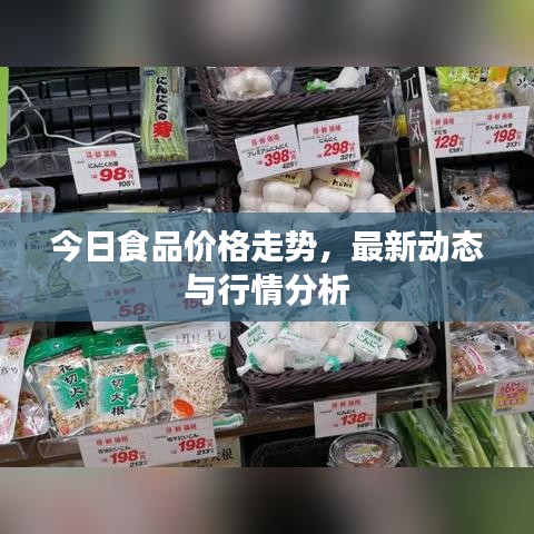 今日食品價(jià)格走勢(shì)，最新動(dòng)態(tài)與行情分析