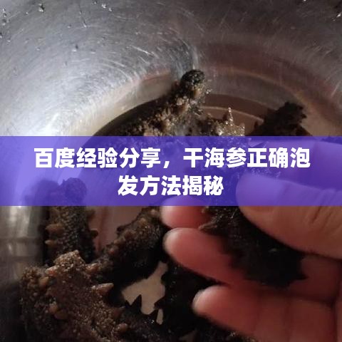 百度經(jīng)驗分享，干海參正確泡發(fā)方法揭秘