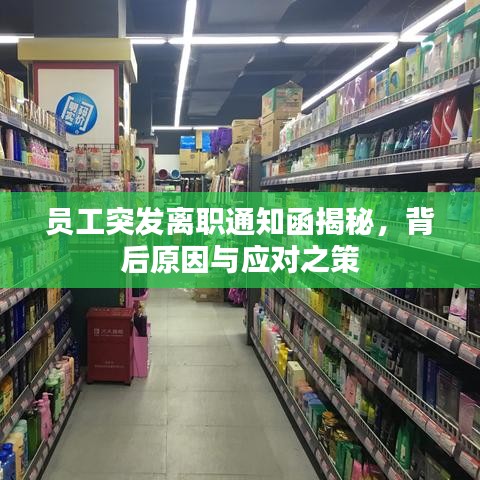 員工突發(fā)離職通知函揭秘，背后原因與應(yīng)對(duì)之策