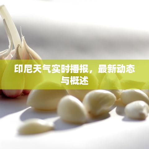 印尼天氣實(shí)時(shí)播報(bào)，最新動(dòng)態(tài)與概述
