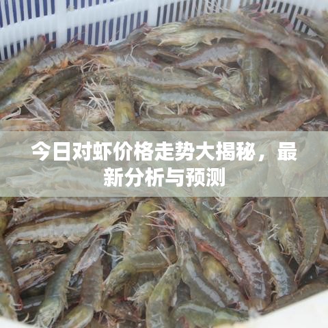 今日對蝦價格走勢大揭秘，最新分析與預測