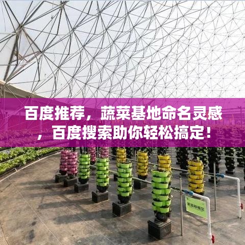 百度推薦，蔬菜基地命名靈感，百度搜索助你輕松搞定！