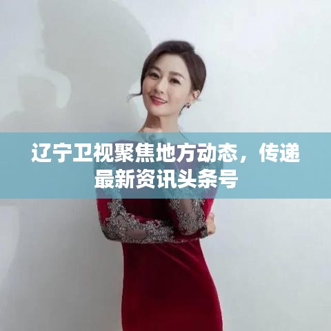 遼寧衛(wèi)視聚焦地方動態(tài)，傳遞最新資訊頭條號