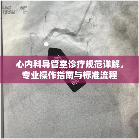 心內(nèi)科導(dǎo)管室診療規(guī)范詳解，專(zhuān)業(yè)操作指南與標(biāo)準(zhǔn)流程