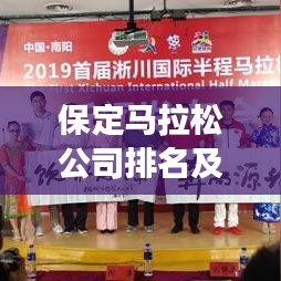 保定馬拉松公司排名及市場深度解析，洞悉行業(yè)趨勢與競爭格局