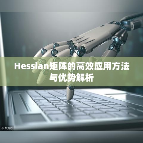 Hessian矩陣的高效應用方法與優(yōu)勢解析