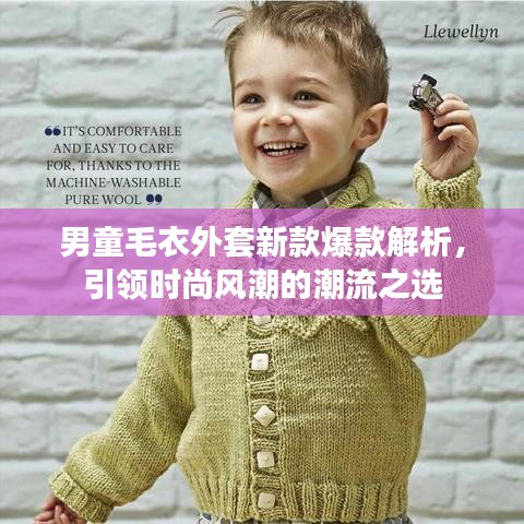男童毛衣外套新款爆款解析，引領(lǐng)時尚風(fēng)潮的潮流之選
