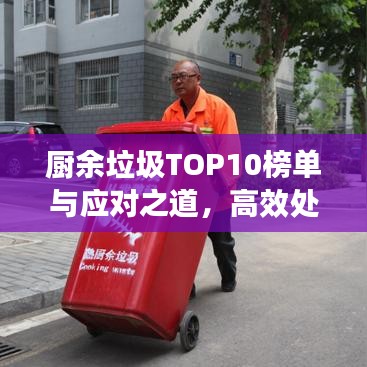 廚余垃圾TOP10榜單與應(yīng)對(duì)之道，高效處理策略揭秘