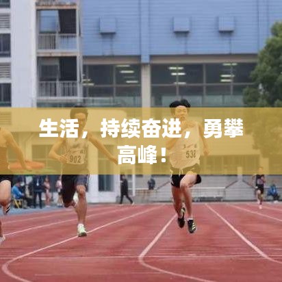 生活，持續(xù)奮進(jìn)，勇攀高峰！