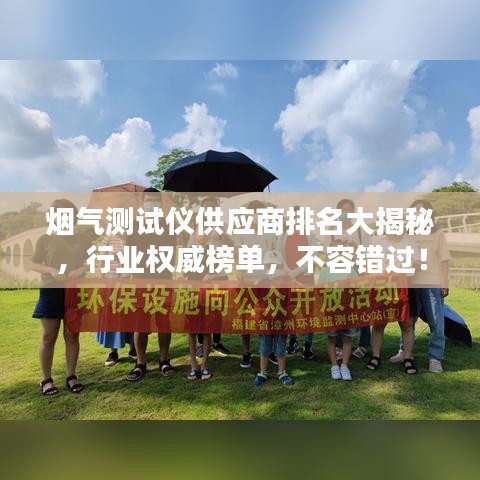 煙氣測(cè)試儀供應(yīng)商排名大揭秘，行業(yè)權(quán)威榜單，不容錯(cuò)過！