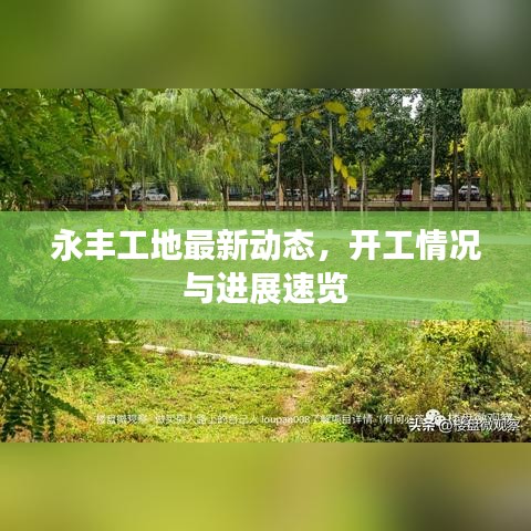 永豐工地最新動態(tài)，開工情況與進展速覽