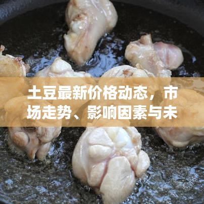 土豆最新價格動態(tài)，市場走勢、影響因素與未來預(yù)測分析