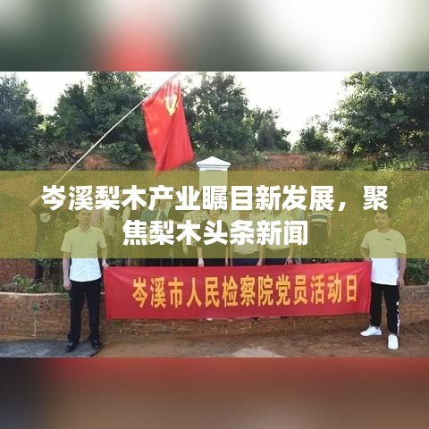 岑溪梨木產(chǎn)業(yè)矚目新發(fā)展，聚焦梨木頭條新聞