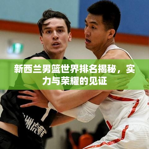 新西蘭男籃世界排名揭秘，實(shí)力與榮耀的見(jiàn)證
