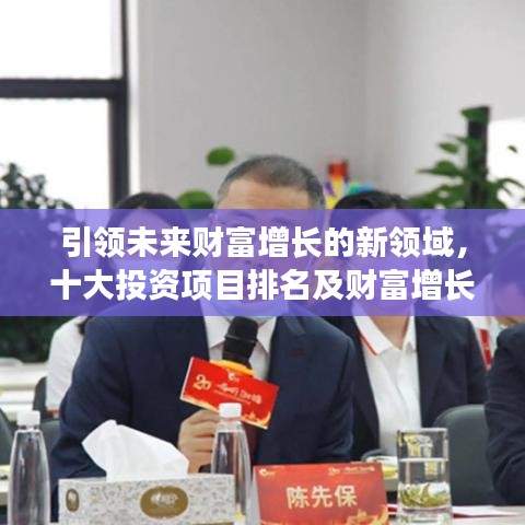 引領(lǐng)未來財富增長的新領(lǐng)域，十大投資項目排名及財富增長機(jī)會分析