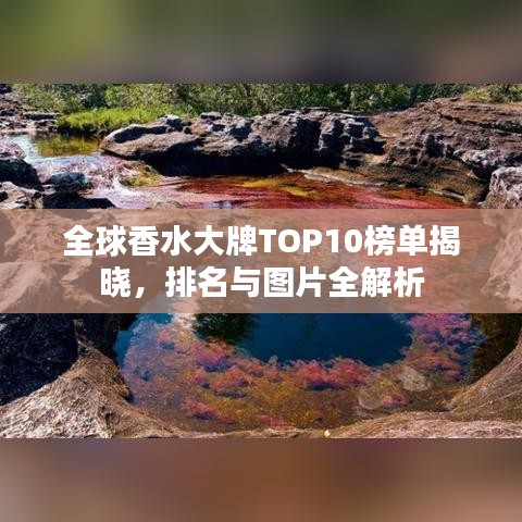 全球香水大牌TOP10榜單揭曉，排名與圖片全解析