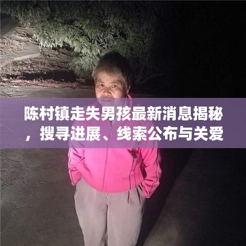 陳村鎮(zhèn)走失男孩最新消息揭秘，搜尋進(jìn)展、線索公布與關(guān)愛行動啟動
