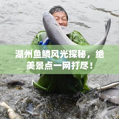 湖州魚鱗風(fēng)光探秘，絕美景點(diǎn)一網(wǎng)打盡！