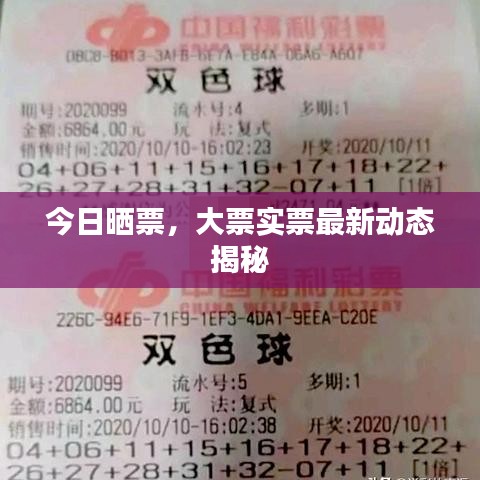 今日曬票，大票實(shí)票最新動(dòng)態(tài)揭秘