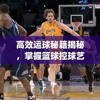 高效運球秘籍揭秘，掌握籃球控球藝術的關鍵要領