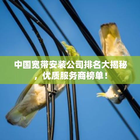 中國寬帶安裝公司排名大揭秘，優(yōu)質(zhì)服務(wù)商榜單！