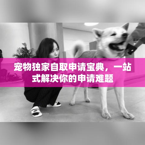 寵物獨家自取申請寶典，一站式解決你的申請難題