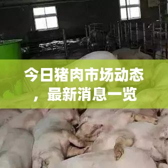 今日豬肉市場(chǎng)動(dòng)態(tài)，最新消息一覽