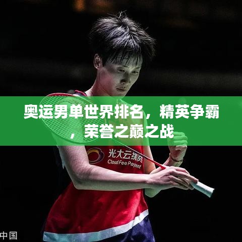 奧運(yùn)男單世界排名，精英爭霸，榮譽(yù)之巔之戰(zhàn)