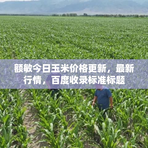 額敏今日玉米價(jià)格更新，最新行情，百度收錄標(biāo)準(zhǔn)標(biāo)題