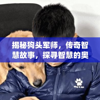 揭秘狗頭軍師，傳奇智慧故事，探尋智慧的奧秘