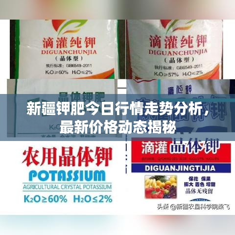 新疆鉀肥今日行情走勢(shì)分析，最新價(jià)格動(dòng)態(tài)揭秘