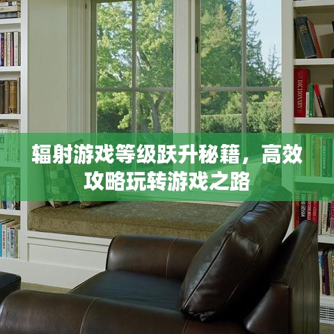 輻射游戲等級躍升秘籍，高效攻略玩轉(zhuǎn)游戲之路