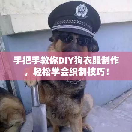 手把手教你DIY狗衣服制作，輕松學(xué)會(huì)織制技巧！