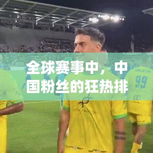 全球賽事中，中國粉絲的狂熱排名揭秘！