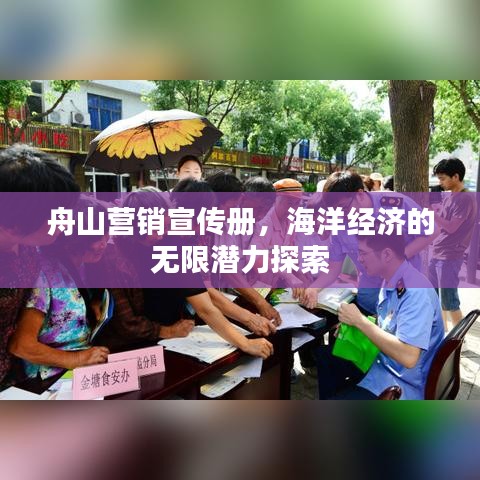 舟山營(yíng)銷(xiāo)宣傳冊(cè)，海洋經(jīng)濟(jì)的無(wú)限潛力探索