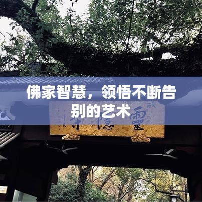 佛家智慧，領(lǐng)悟不斷告別的藝術(shù)