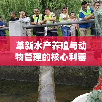 革新水產(chǎn)養(yǎng)殖與動(dòng)物管理的核心利器，新型高效智能地籠