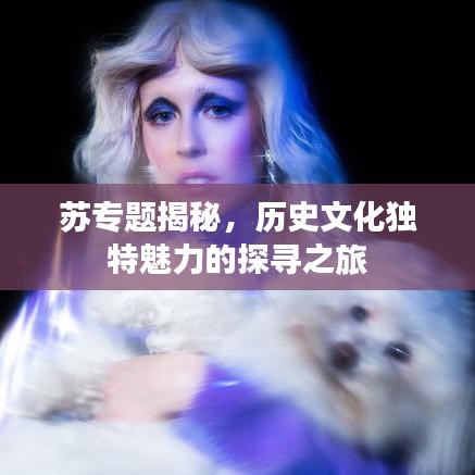 蘇專題揭秘，歷史文化獨(dú)特魅力的探尋之旅